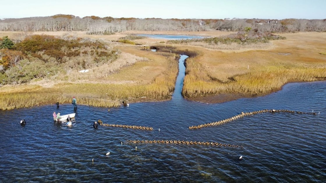 After more than a century, oysters may make comeback to Marblehead harbors
