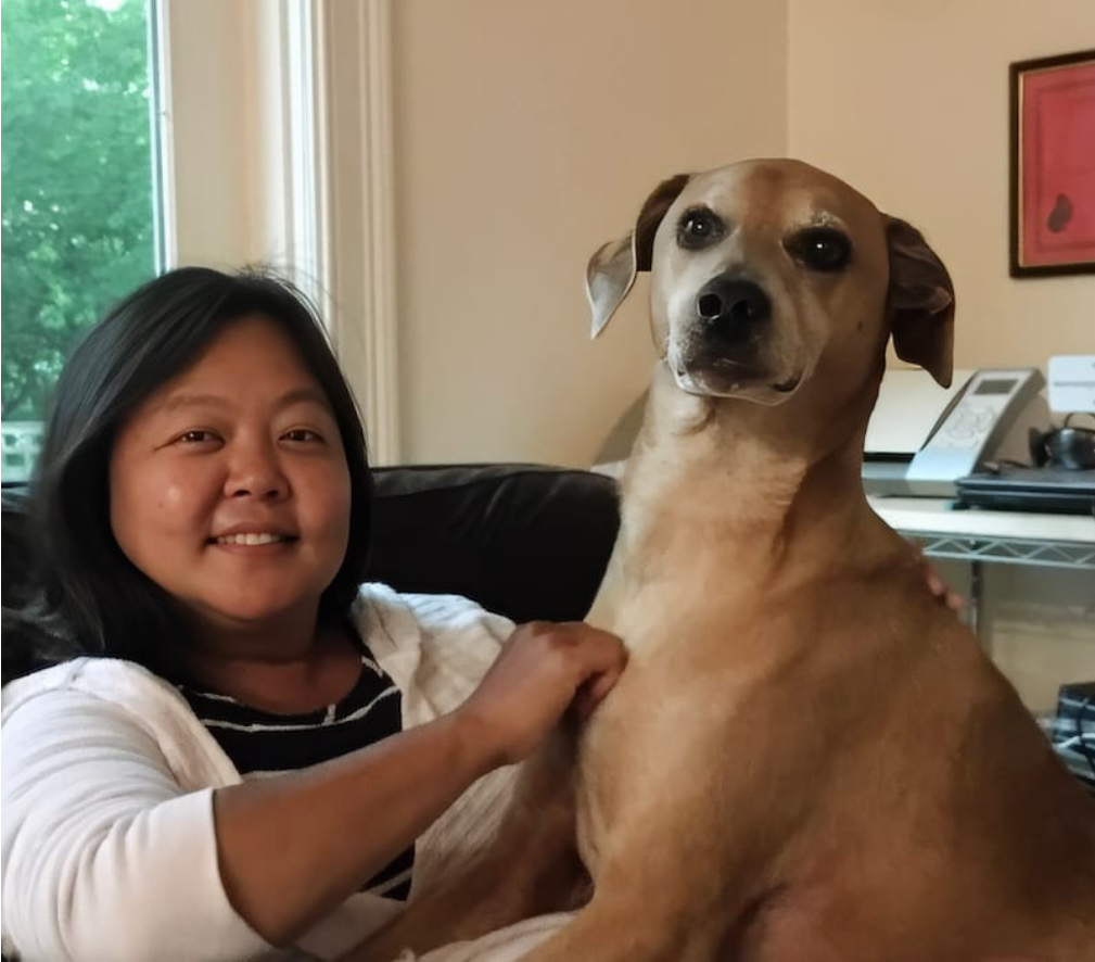 Screenshot 2025-11-21 at 12-36-44 Ghost Admin - The Marblehead Independent