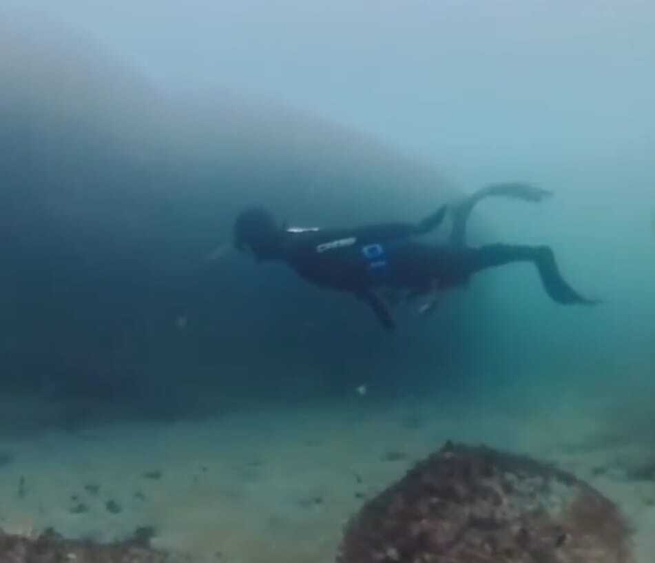 beneath-the-blue-diving-on-one-breath-featured