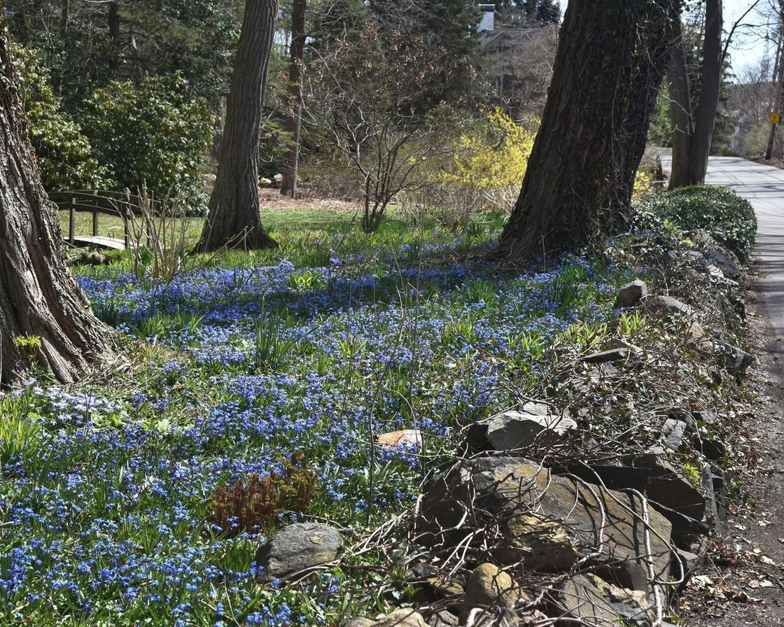 photo-essay-signs-of-spring-in-marblehead